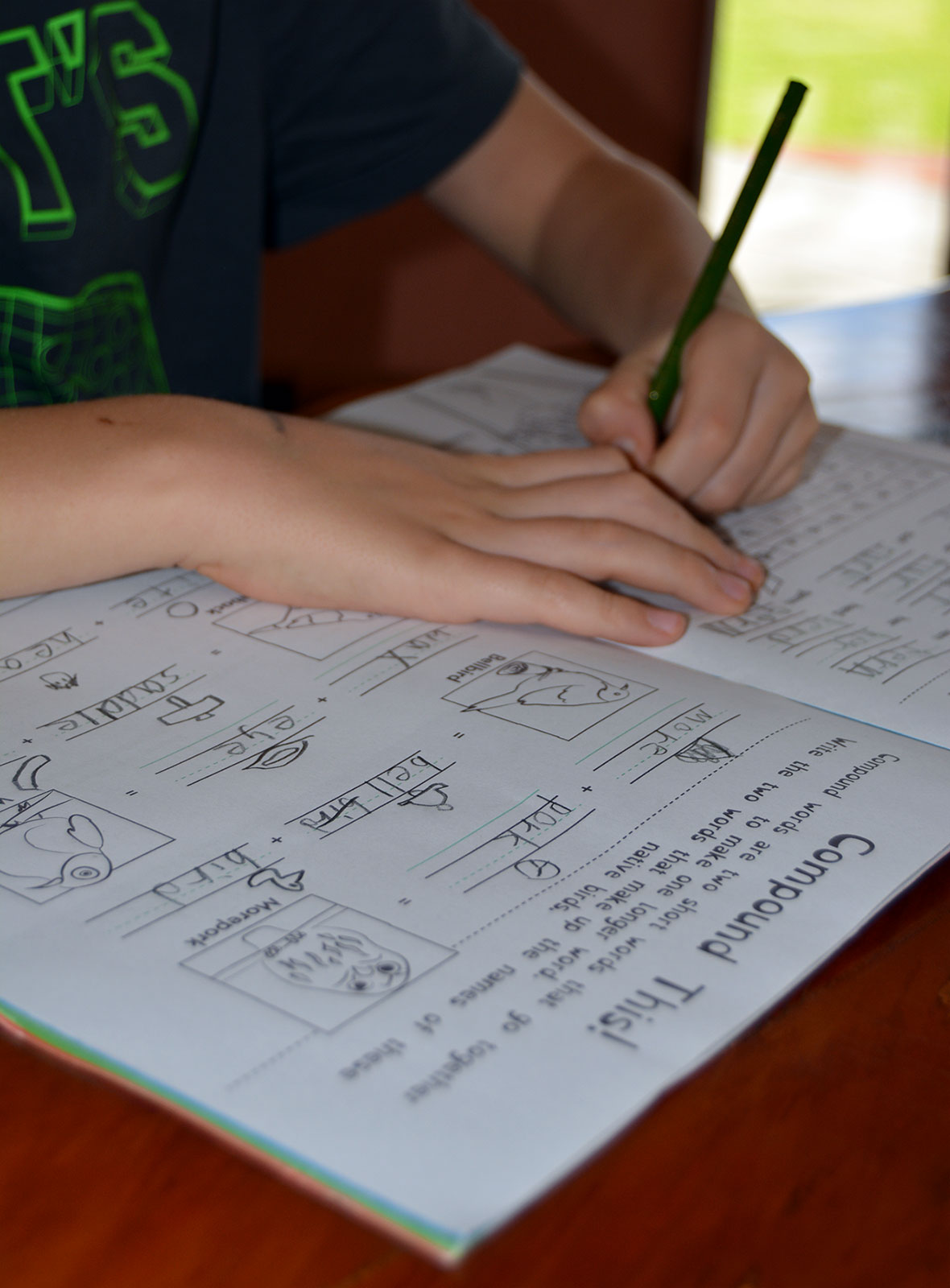 a child filling out the workbook.