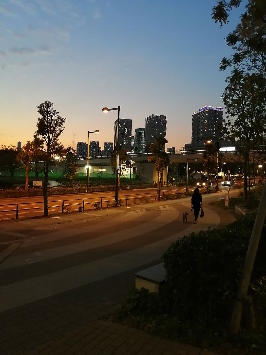 photograph of Toyosu streets during twilight